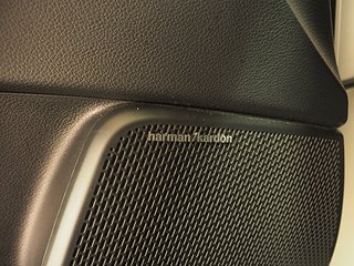 Kombi Kia E-SOUL 23 av 23