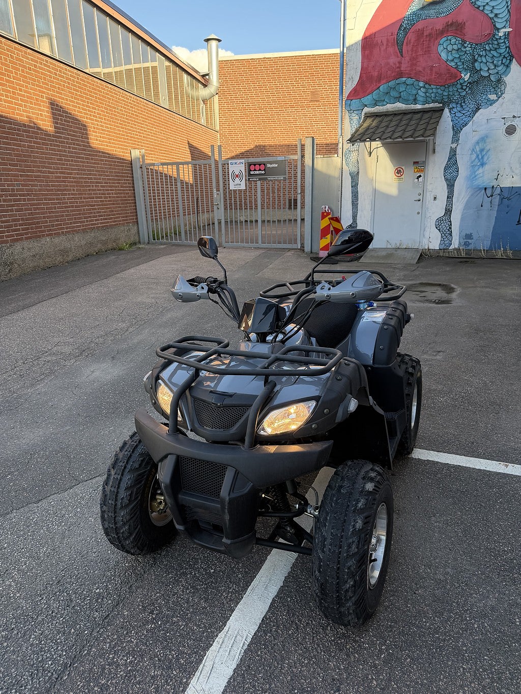 GAR Shineray XY250 Shineray/Mustang  250cc BACK/EJ REGGAD