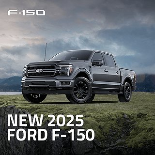 Transportbil - Flak Ford F-150 13 av 13