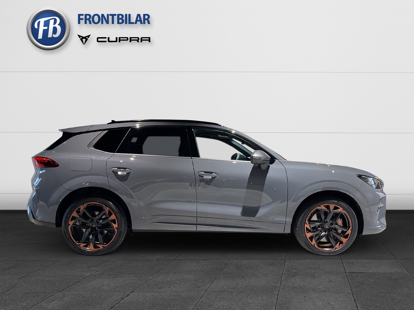 Cupra Terramar 2026, photo 4/38