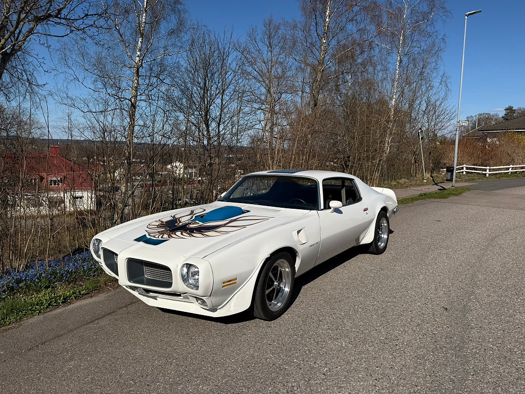 Pontiac Firebird Trans Am Clone 1970