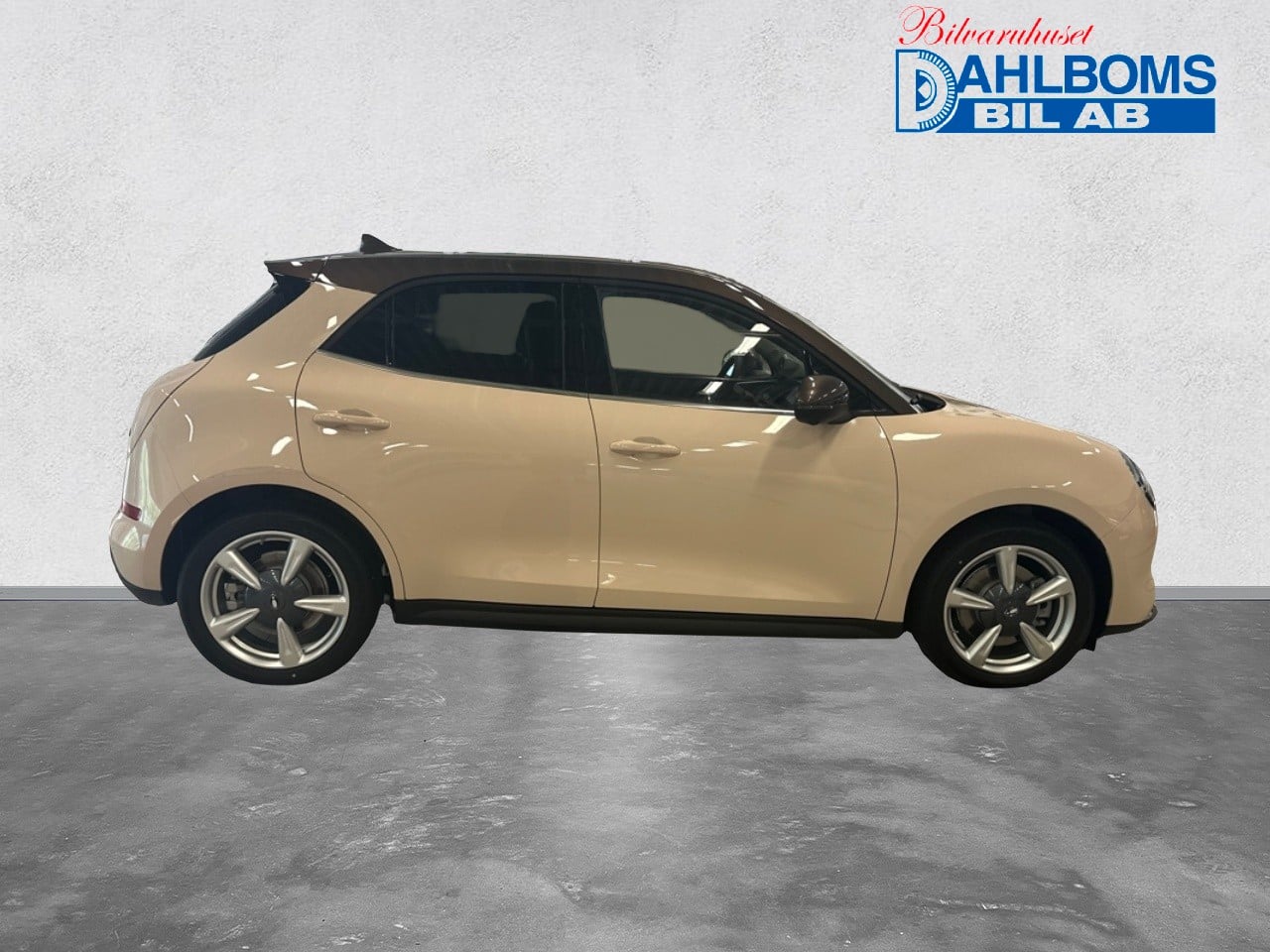 Ora 300 Pro 48Kwh Dubbade vinterhjul 2024, bild 6/46