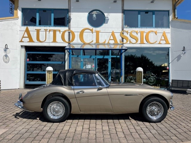 Austin-Healey