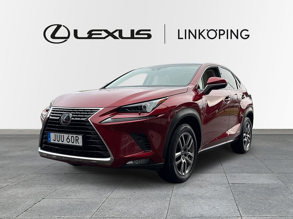 Lexus NX 300h AWD Executive Navigation Panorama drag Euro 6