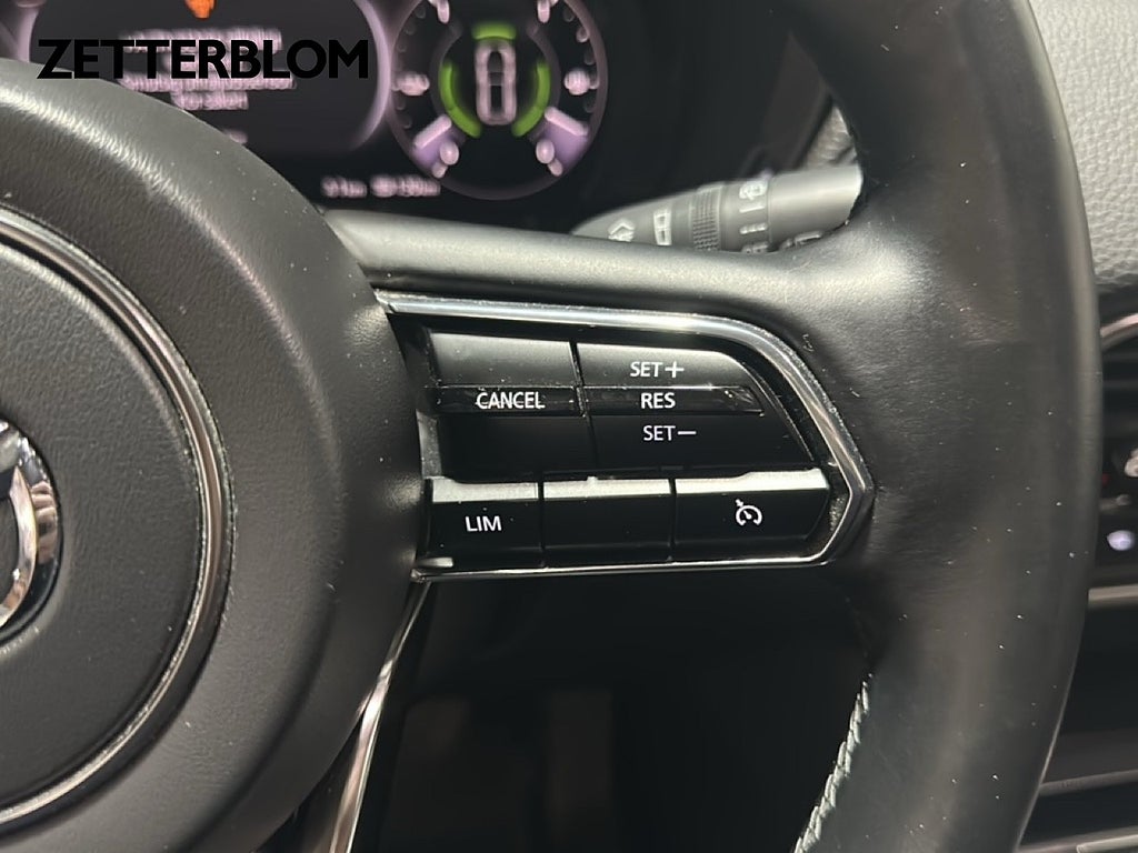 SUV Mazda CX-60 17 av 19