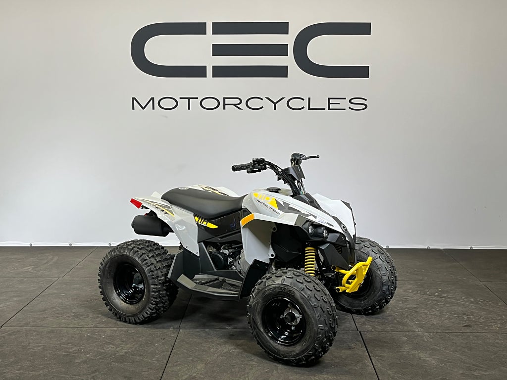 Can-Am Can-Am Renegade STD 110 EFI 