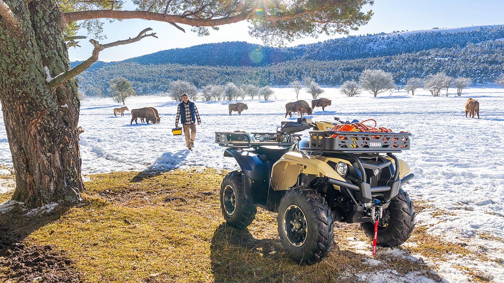 Yamaha KODIAK 450 EPS SPECIAL EDITION TERRÄNG KIWAMI atv 450 yfm