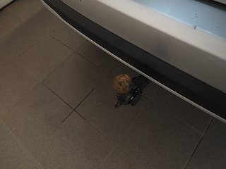Kombi Ford Focus 22 av 23