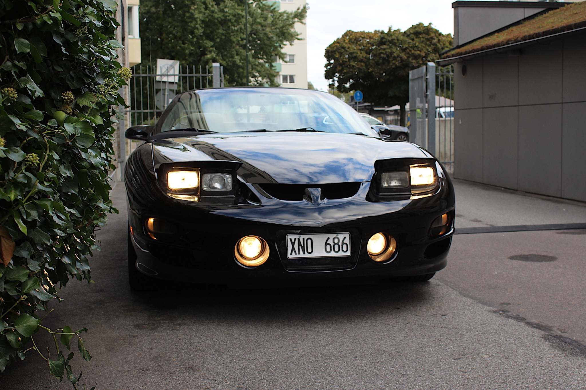 Pontiac Firebird 1998, bild 7/42