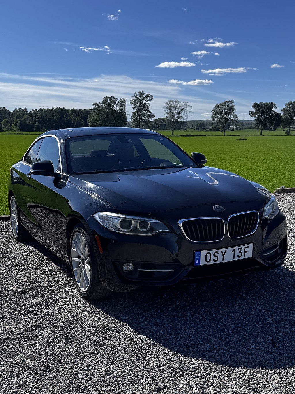 BMW 228i Coupé Steptronic, reperationsobjekt 
