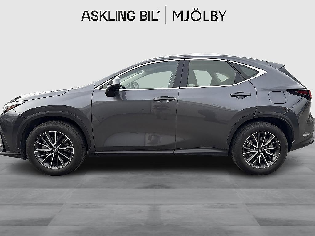 Lexus NX 2025 - miniatyr 3