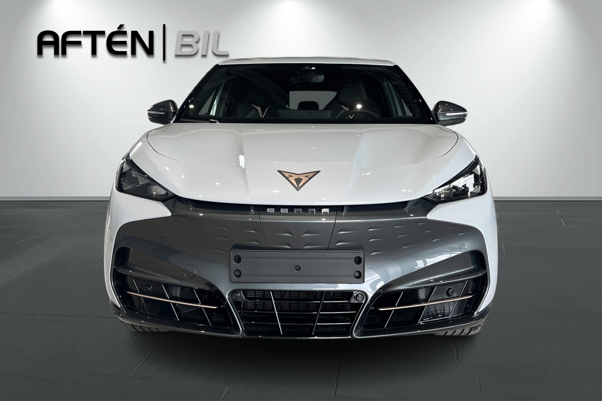 Cupra Tavascan 2025, bild 3/50