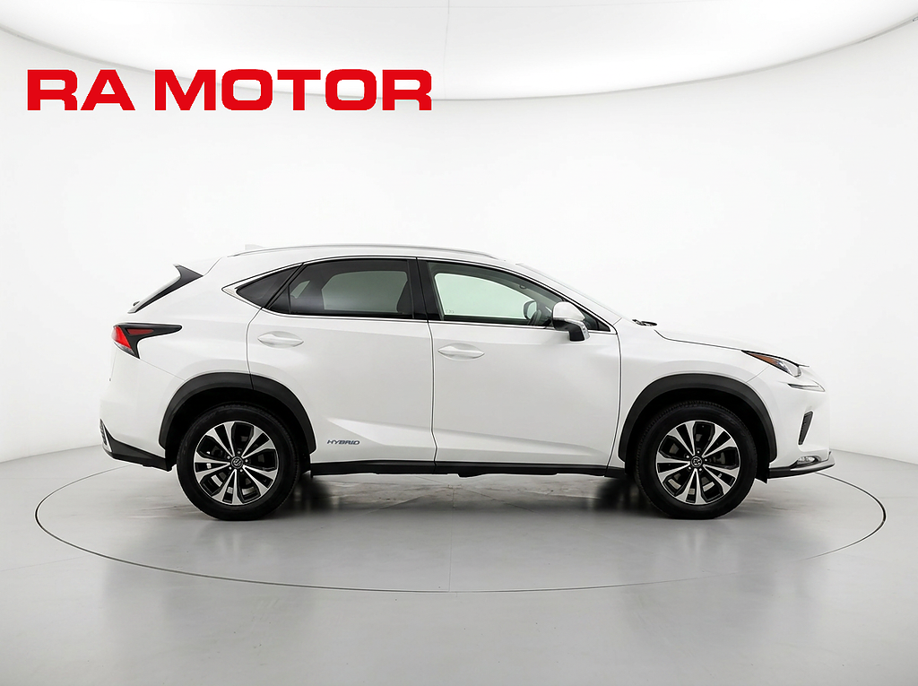 Lexus NX 300h AWD 2.5 AWD  Kyushu Edition | Kamera | Navi | Moms 2021