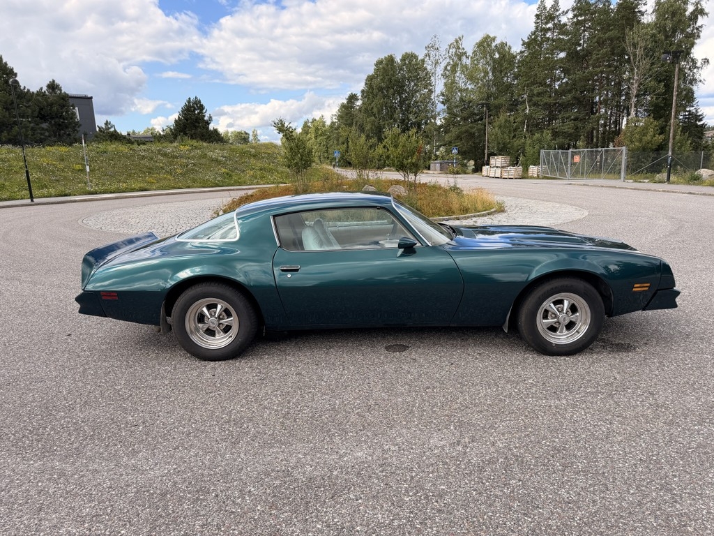Pontiac Firebird 1976, bild 6/31