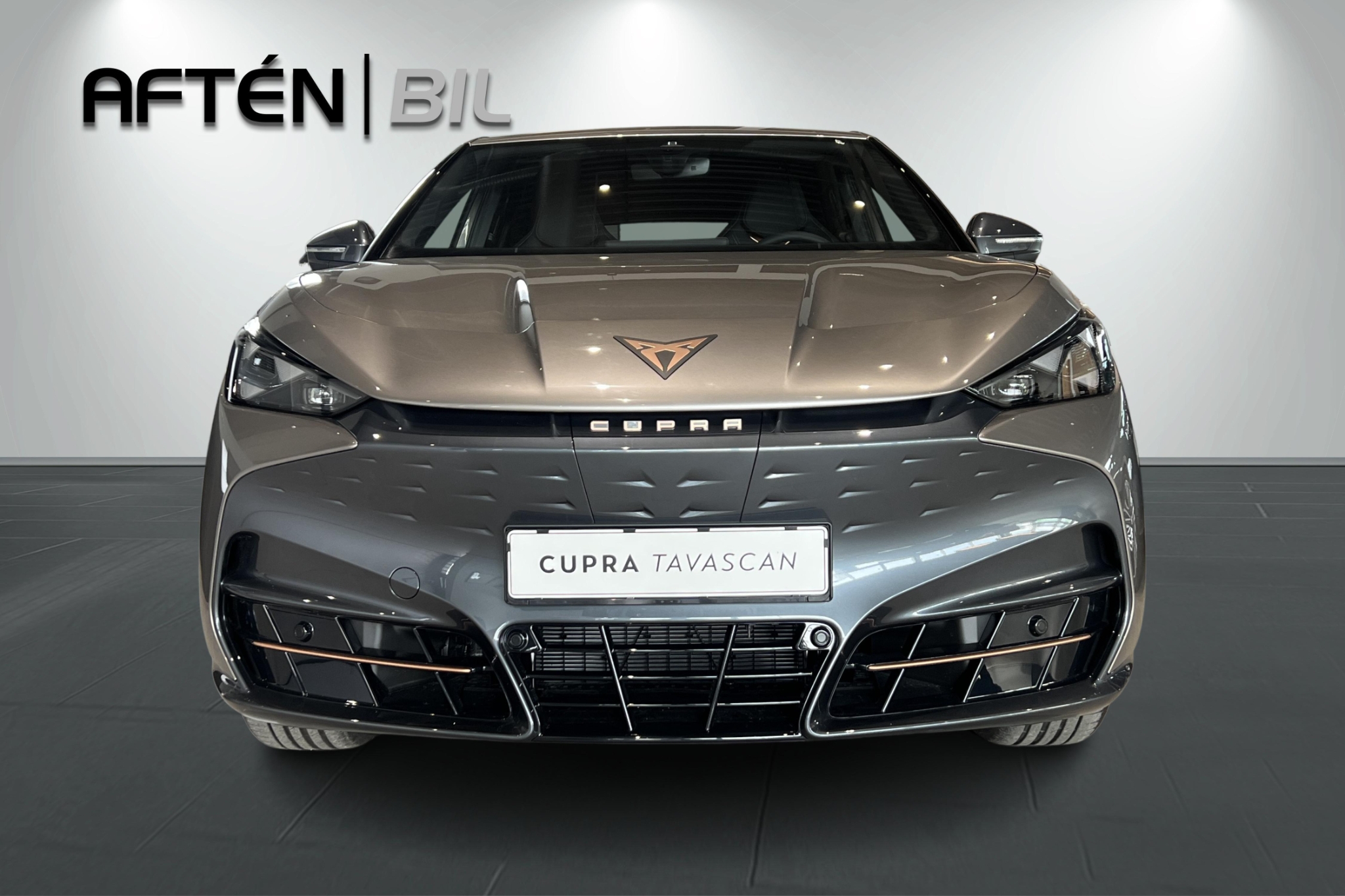 Cupra Tavascan 77kWh RWD 286hk 2025, bild 3/57