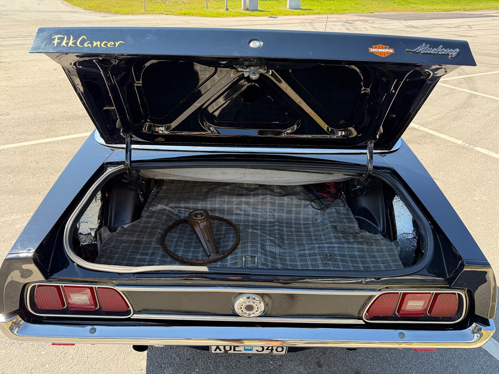 Ford Mustang Cabriolet 5.8 V8