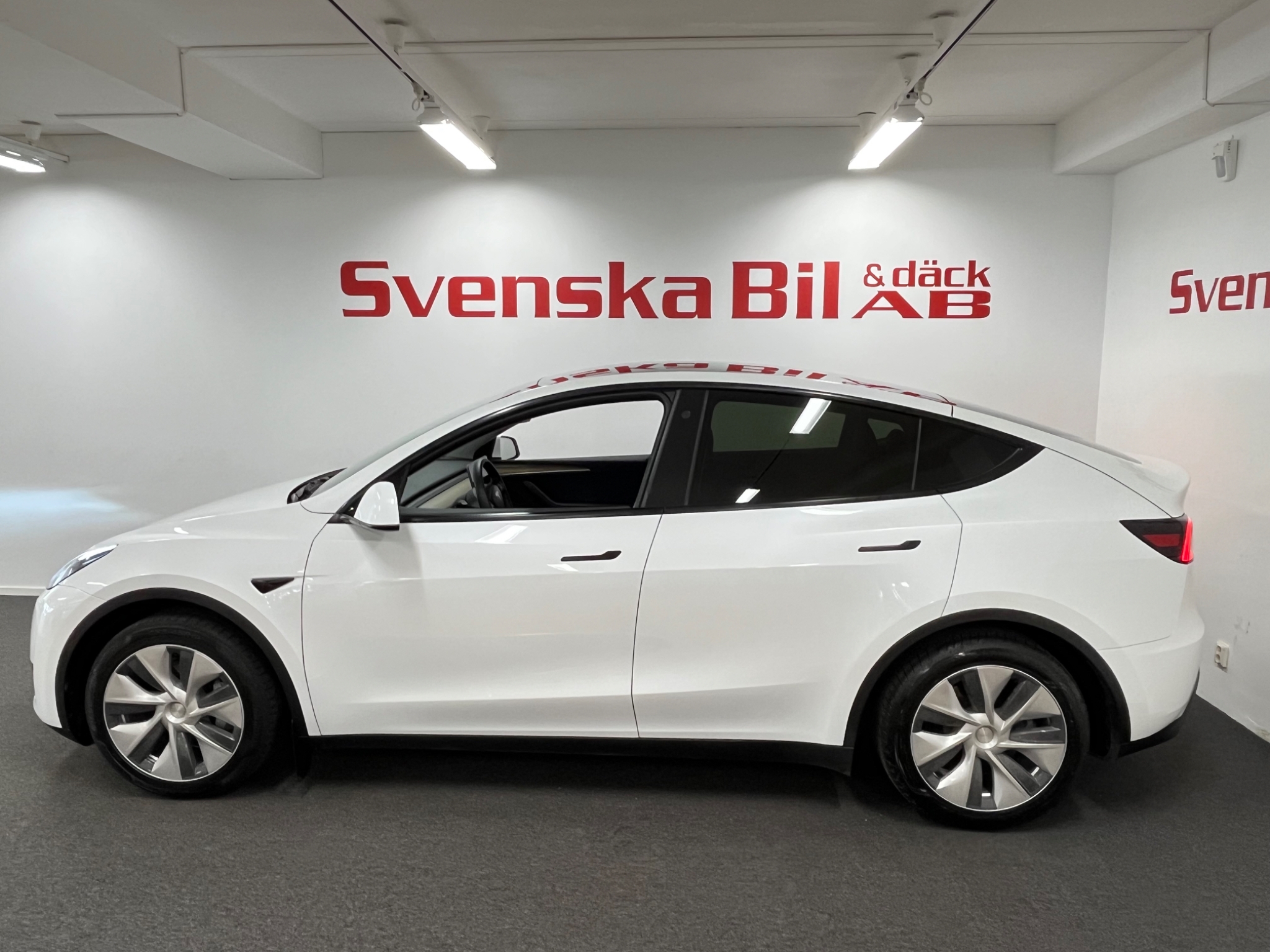 Tesla Model Y Standard Range (dragkrok) 2023, photo 3/52