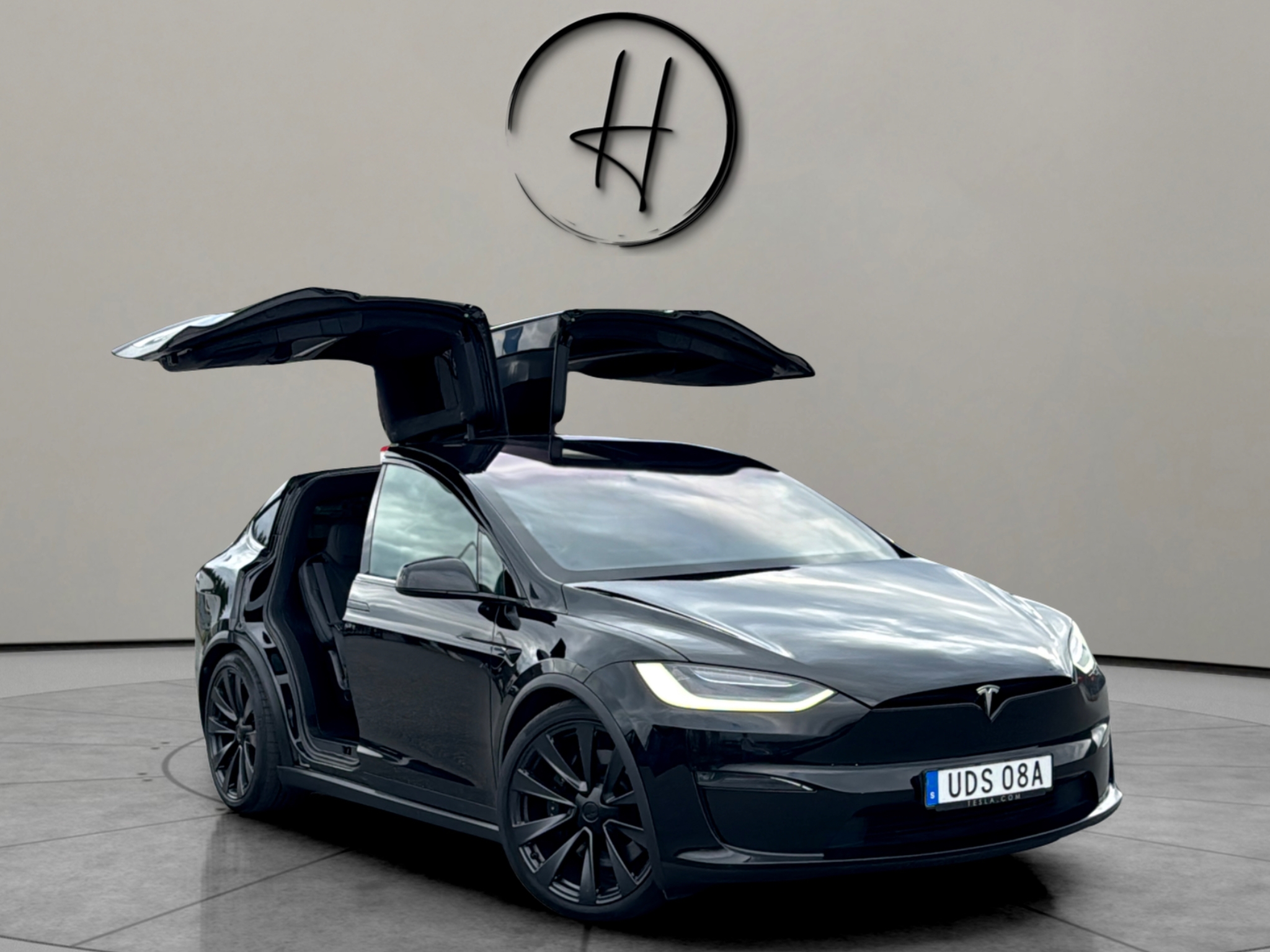 Tesla Model X 670hk HW4 Skinn 2023, bild 5/10