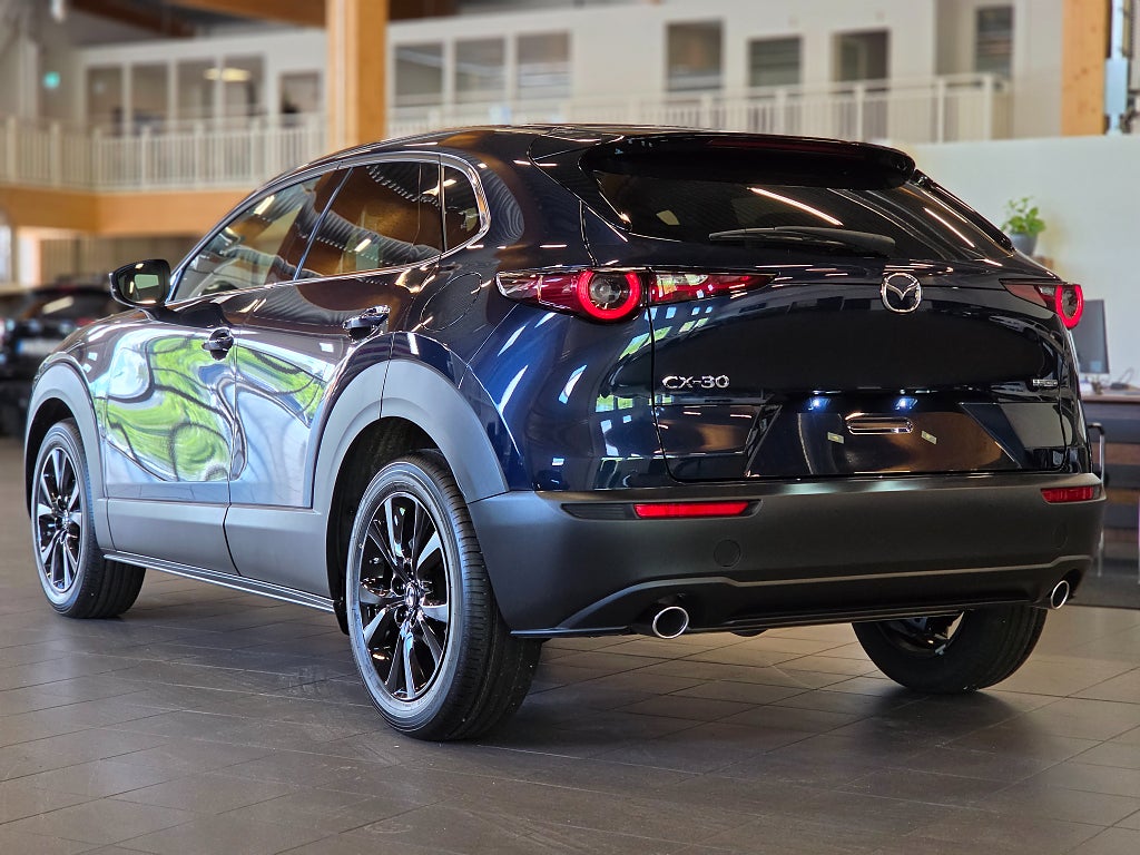 Mazda CX-30 2.5 e-SKYACTIV-G / Nagisa / BOSE / Backkamera / Navi