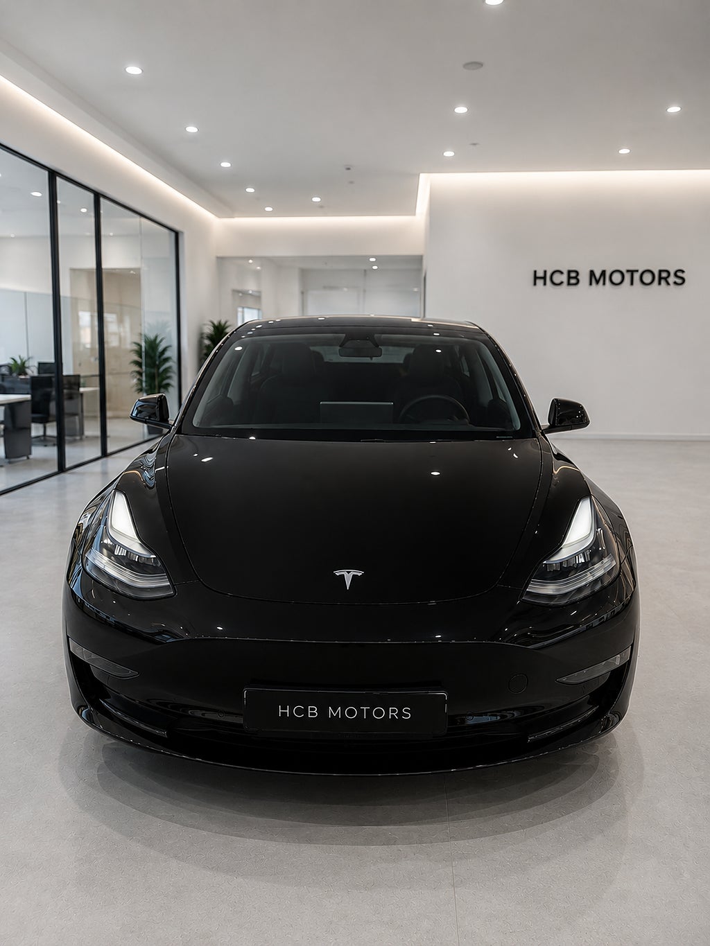 Tesla Model 3 Standard Range Plus Euro 6