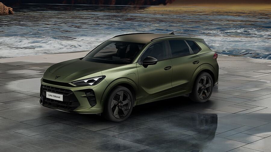 Cupra Terramar TRIBE Edition 1.5 e-HYBRID 204 hk 