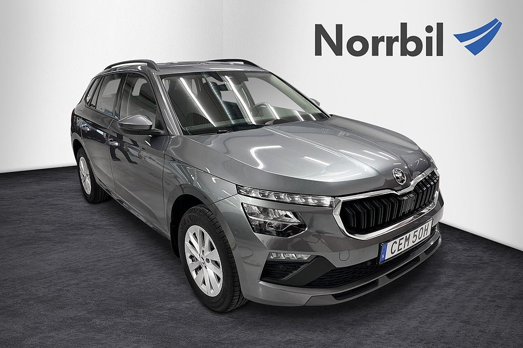 Skoda Kamiq Selection 1,0 TSI 115 DSG