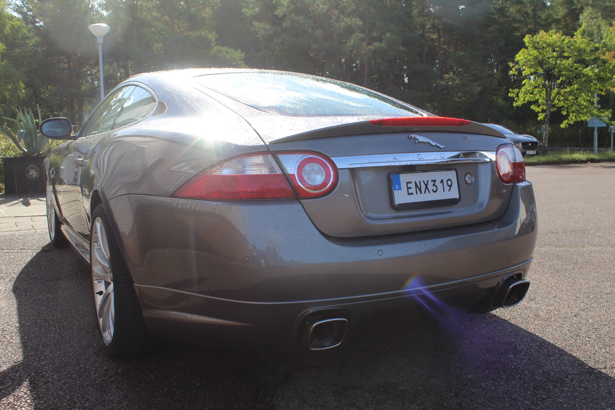 Jaguar XK 2009, bild 4/10