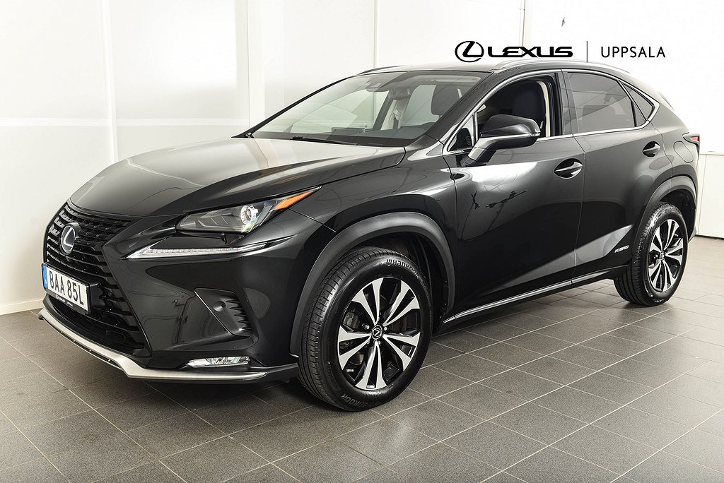 Lexus NX 300h AWD Kyushu Edition 