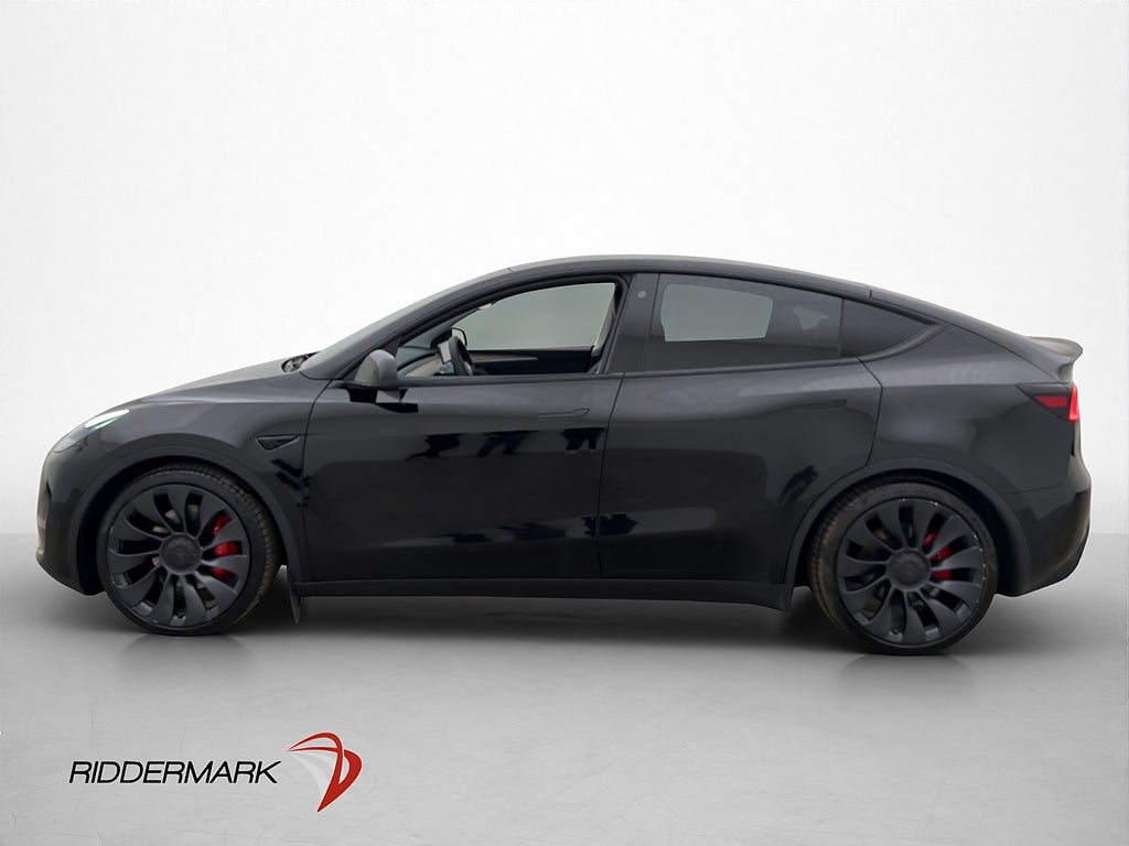 Tesla Model Y Performance AWD Kamera Autopilot Panorama MOMS