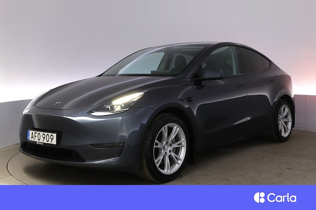 Tesla Model Y Long Range AWD Autopilot Panorama