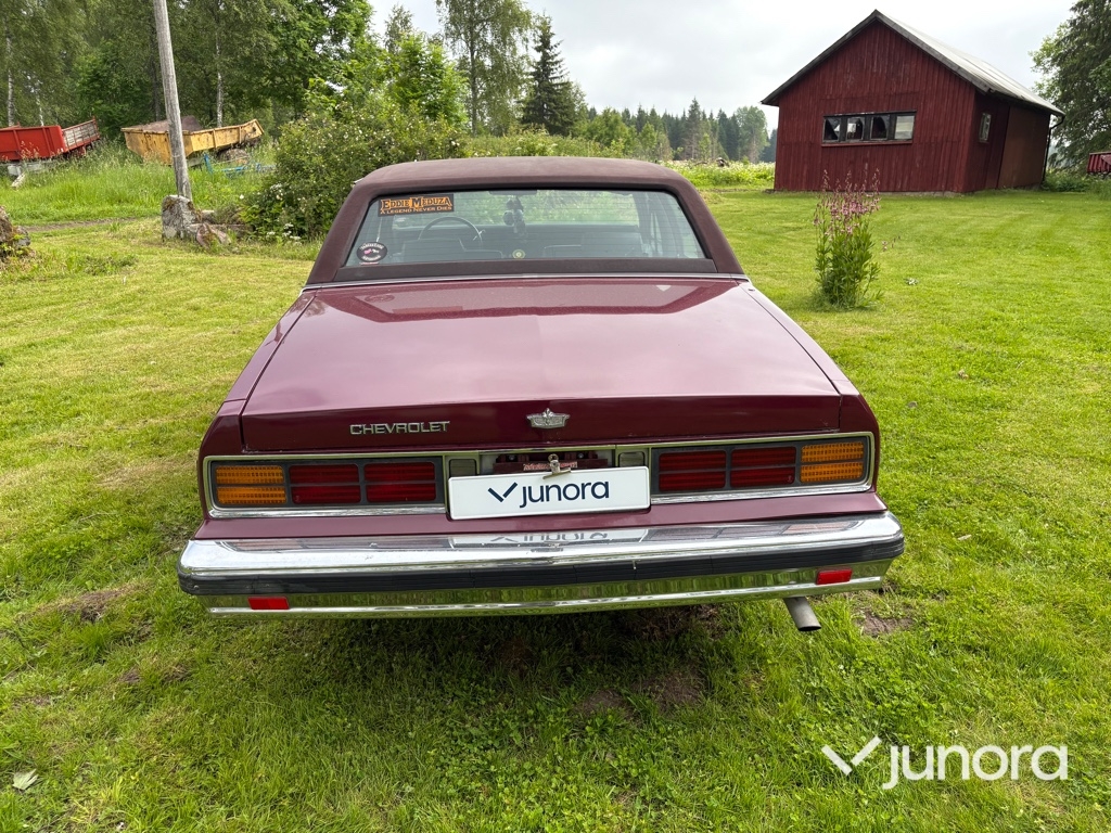 Chevrolet Caprice 1989, bild 3/46