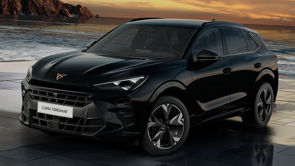 Cupra Terramar 1.5 eTSI 150hk Automat PRIVATLEASING!