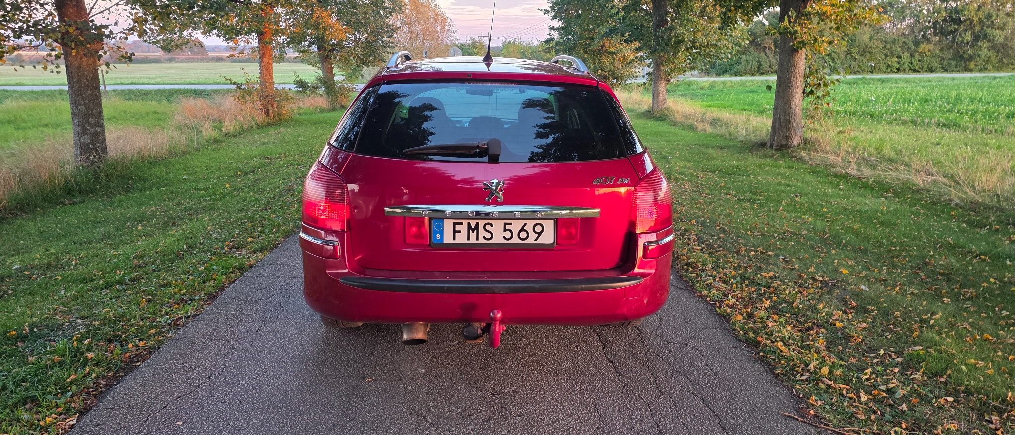 Peugeot 407 HDi FAP 110 DPF 2007, bild 6/10