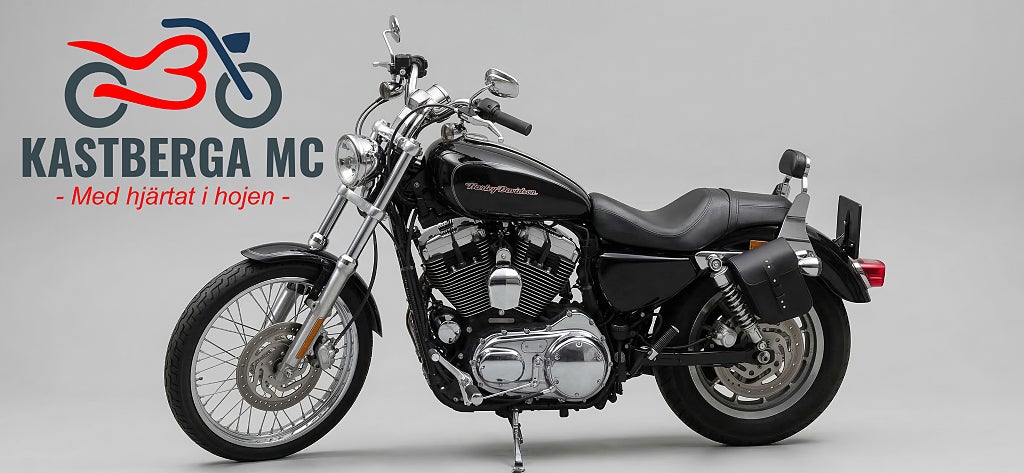 Harley-Davidson Sportster 1200 Custom XL1200C