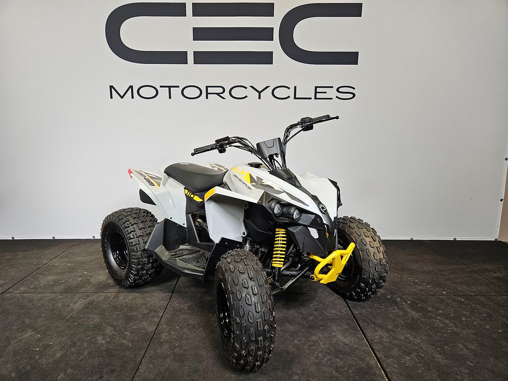 Can-Am Renegade STD 110 EFI 