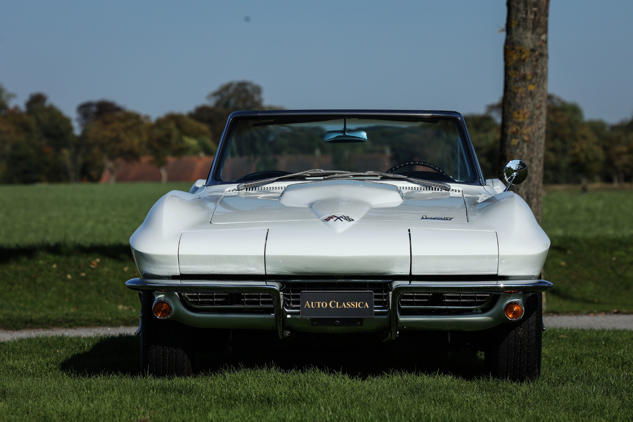 Chevrolet Corvette 1966, bild 6/10