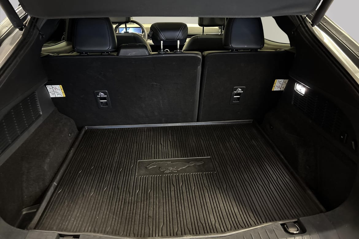 Ford Mustang Mach-E 2021, bild 6/41