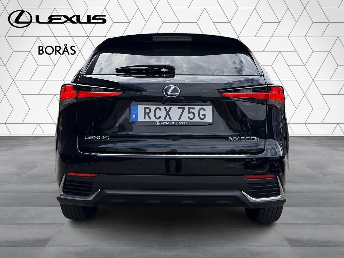 Lexus NX 300h AWD Executive 2020, photo 6/58