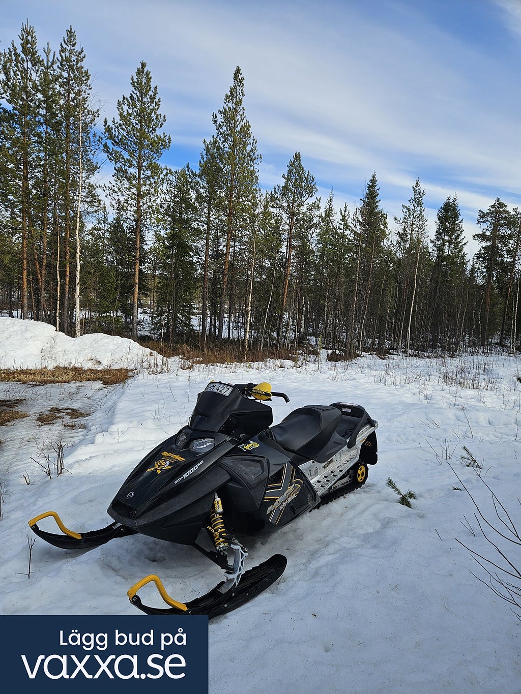 Ski-Doo MXZ renegade x 1000 2006