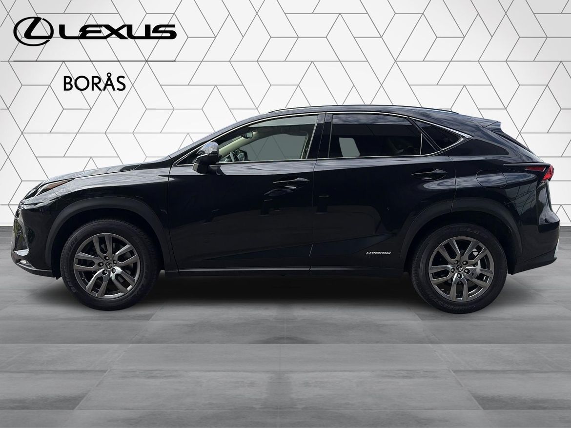 Lexus NX 300h AWD Executive 2020, photo 5/58