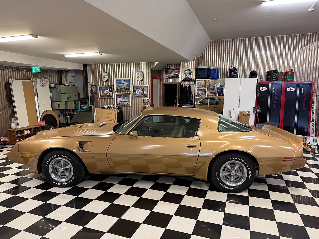Pontiac Trans Am Original fint skick -81