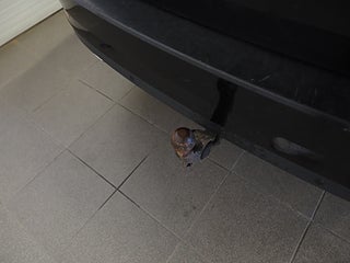 Kombi Skoda Superb 9 av 24