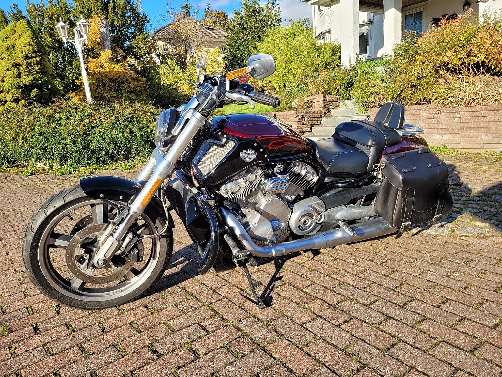 Harley-Davidson Vrscf V-Rod Muscle 1247 