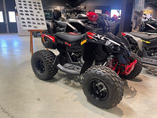 Can-Am Renegade X XC 110 INT 