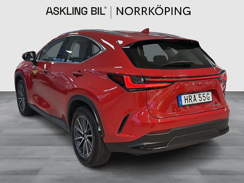 Lexus NX 2024 - miniatyr 2