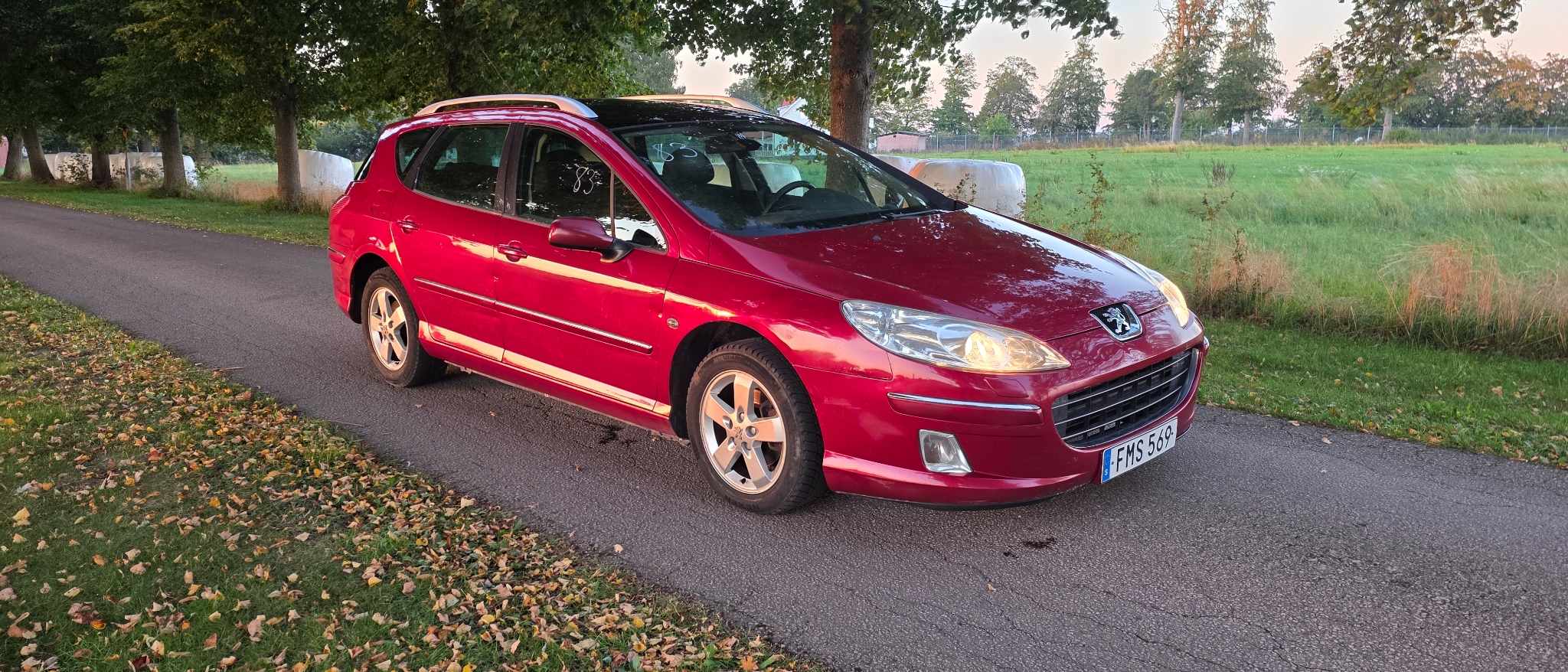 Peugeot 407