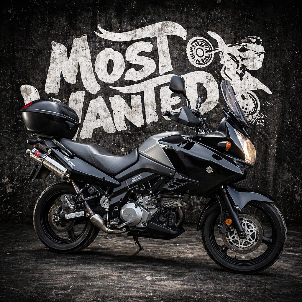 Suzuki Cycles DL1000 V-Strom 2006