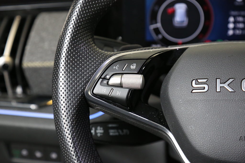 Skoda Kodiaq 2,0 TDI 193hk 4x4 Business Edition Värmare Drag 2025