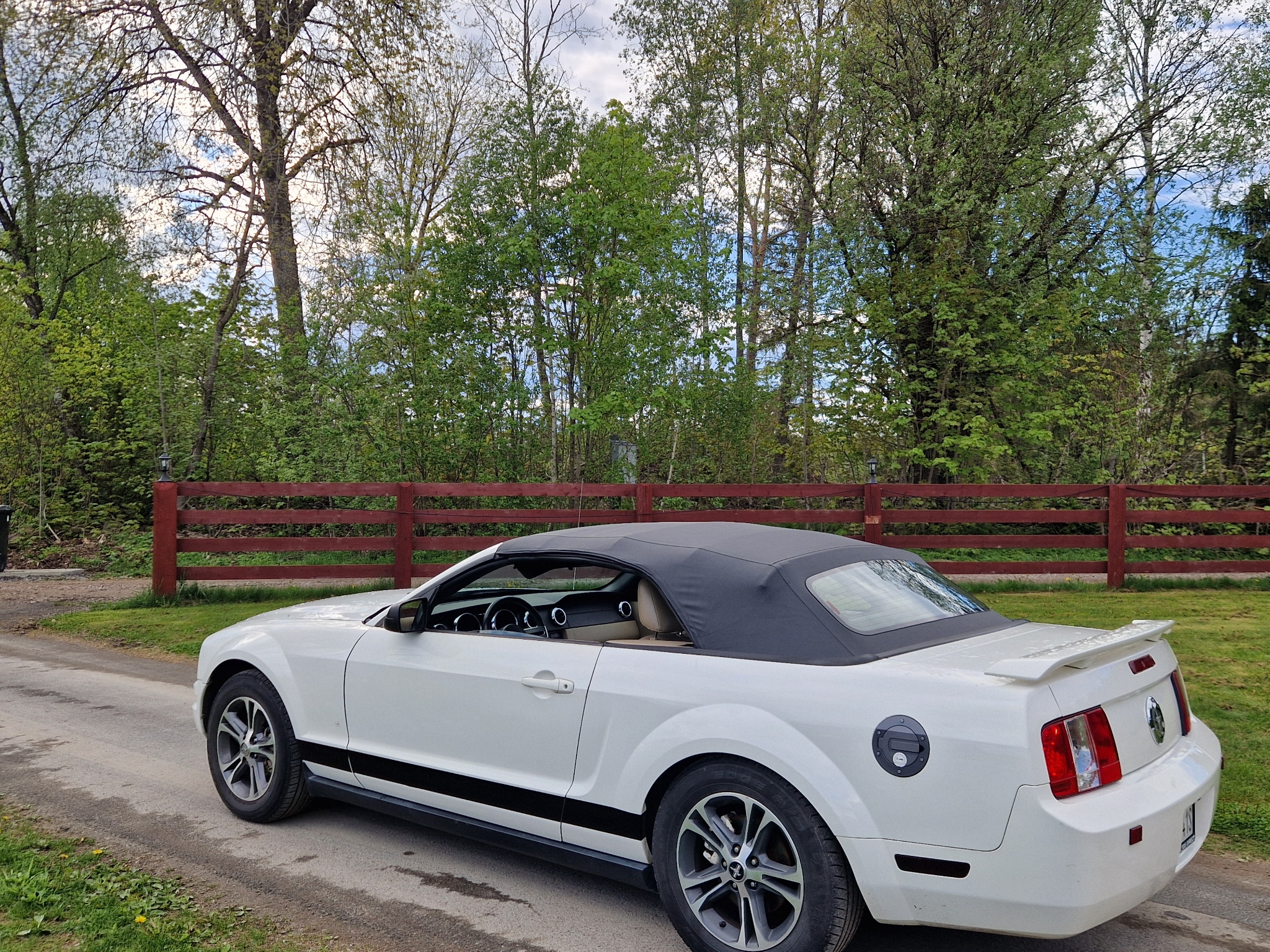 Ford Mustang CAB - 1595kr/mån 2005, bild 7/41