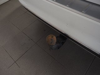 Kombi Volkswagen Passat 24 av 24